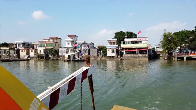 广东新会石板沙品黄沙蚬