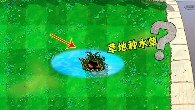 植物大战僵尸:草地上挖出水坑,就能种水草?结果是真的吗