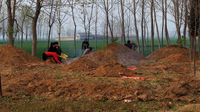 俗语坟后有坑绝人丁白虎垂头少男愁是什么意思有什么讲究呢