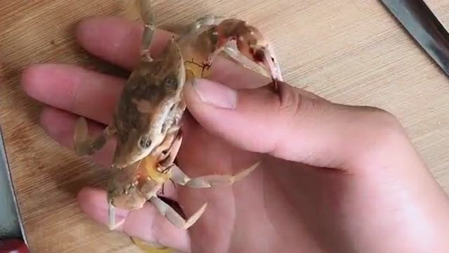 有钳任性没钳认命,螃蟹这样做,算是掐住了他的大拇指!