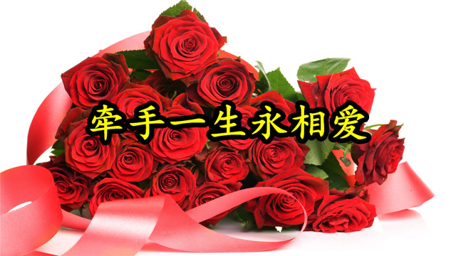 情歌mv:《牵手一生永相爱》对你的爱依旧还在,对你的情没更改