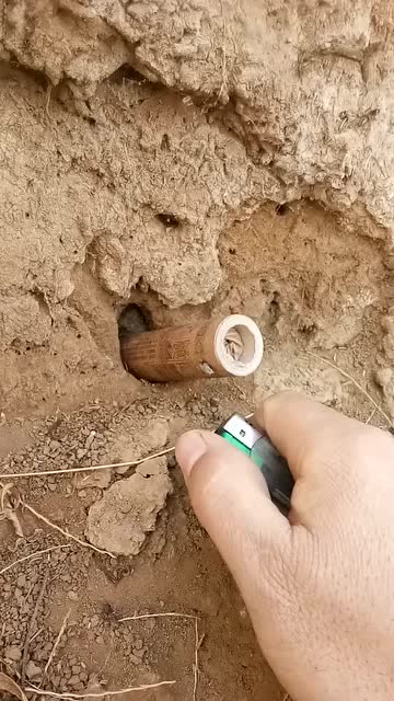 二踢脚直炸老鼠窝,炸塌了来个支持