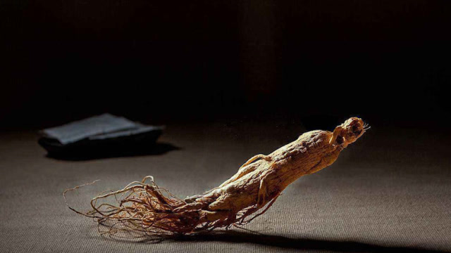 一起来看看这些成精的人参