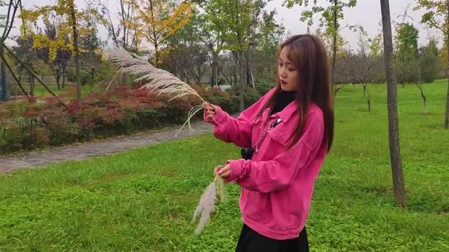 琥珀妞妞一首《亲爱的不要把我忘记》歌词朴实亲切,歌声很甜