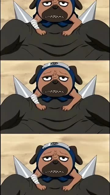 火影:卡殿的八忍犬一直长不大,以前召唤出来就帕克和布鲁不叫唤