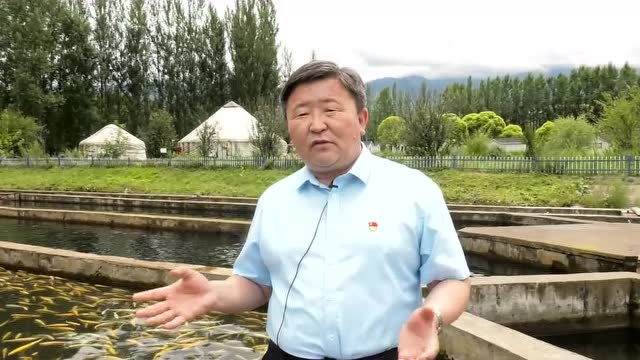 我是新源县县长巴合江哈力木别克我为新源农副产品代言