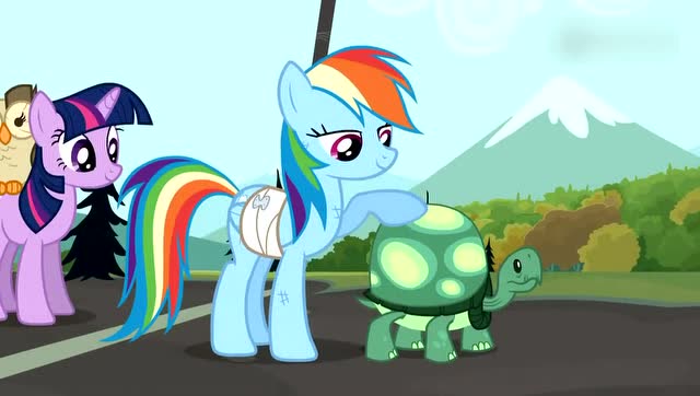 小马宝莉:云宝发现和自己一起越过终点线的,还救了自己的,,就是陆龟