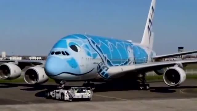 它来了它来了a380大海龟