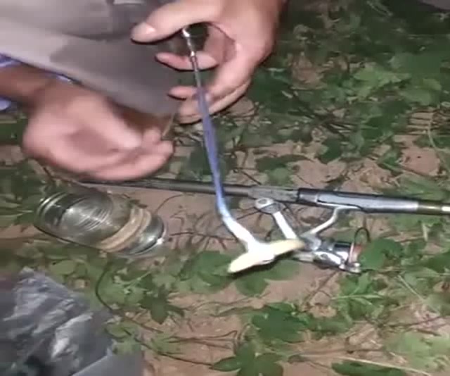 这才是挂泥鳅的正确方法,夜钓翘嘴鲶鱼一绝,真是太过瘾了!