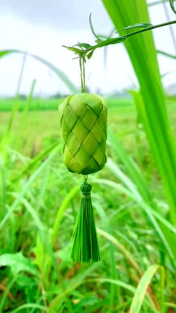 手工:自己编织的竹叶灯笼,你们觉得好看吗