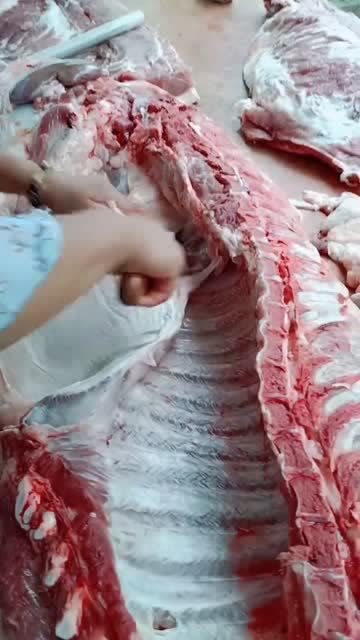 终于知道腰子为什么总有个刀口了原来都是这样割出来的