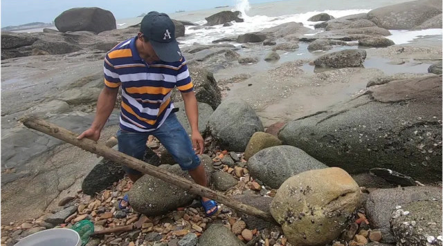 馒头咬牙撬开100来斤的大石头,活捉一只大货,一百多块一斤