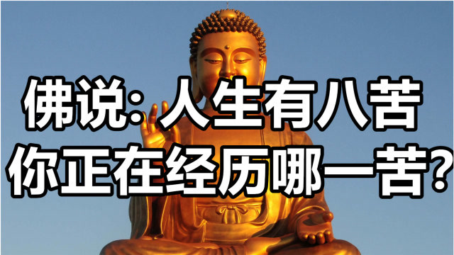 佛说人生有八苦你正在经历哪一苦