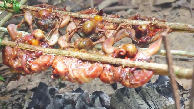 荒野男子野外烤小鸡,肉香四溢,吃起来嘎嘣脆,太美味了!