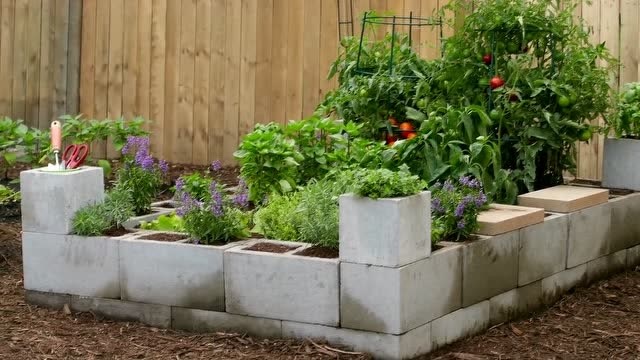 小院种菜铺砖图效果图图片