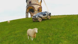 地平线4：开丰田越野车去赶羊会发生什么？