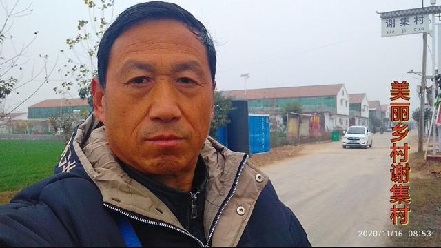 山东曹县仵楼镇谢集村环境优美民居整洁壮观