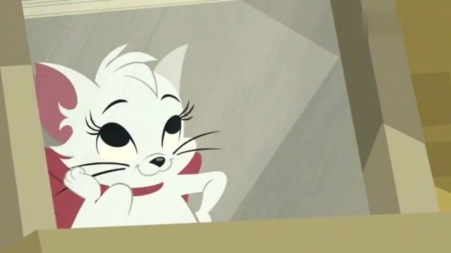 猫和老鼠里白猫品种图片