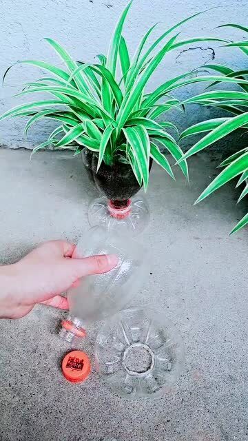 ƿӲҪ,ƯĻ