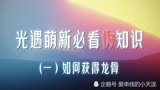 光遇萌新必看伪知识（一）如何快速获得龙骨