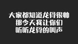 光遇龙骨，纯属娱乐