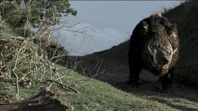 惊悚电影野猪5吨重的野猪袭击小镇还以人为食越吃越大