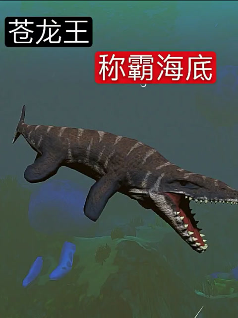 苍龙王称霸海底世界