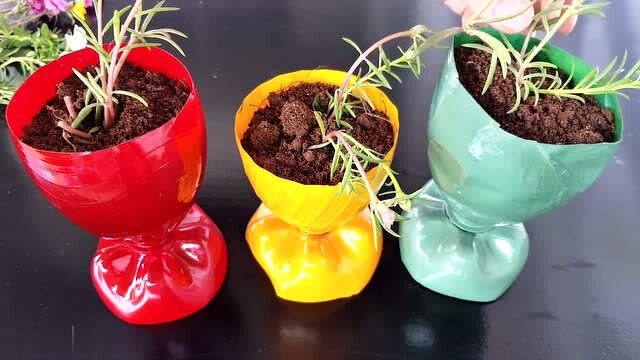 空可乐瓶别扔了,教你变废为宝,随便剪几刀就能变漂亮花盆,好有创意