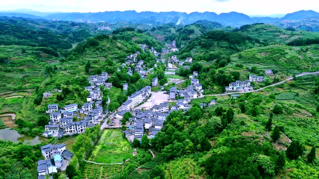 微视频 | 绿色产品大庄园 ——凤凰县廖家桥镇菖蒲塘村