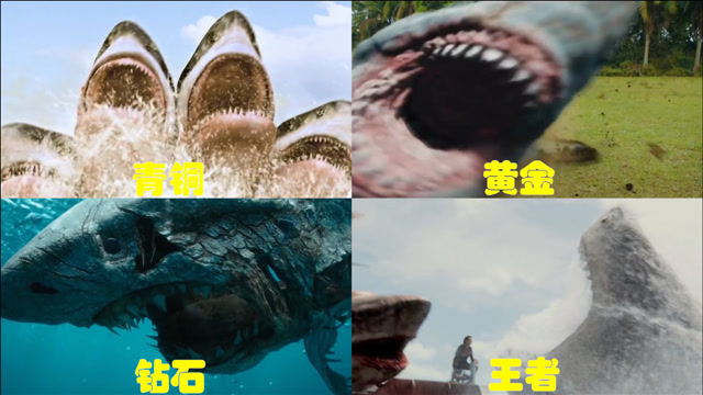 五头鲨鱼巨型图片