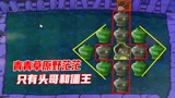 植物大战僵尸：前排防御看似牢不可破，僵王另辟蹊径