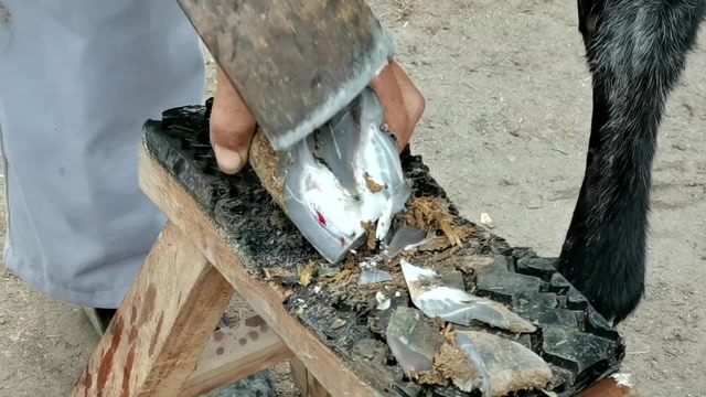 驴蹄长似秋,甲工愁不修,进食更担忧,驴幸得好主,一刀解千愁