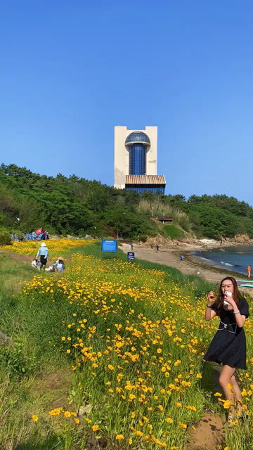 威海海源公园,带你一起看花海,海上一只只小船!