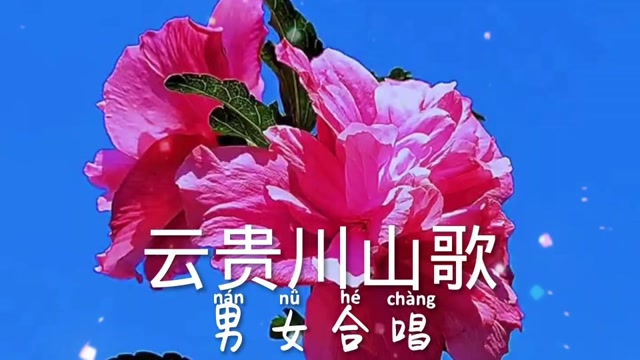 云贵川山歌,男女合唱《梦中情》太好听了