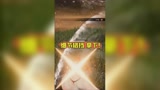 【永劫无间】细节格挡，拿下！