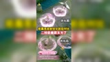 王者荣耀：拒霜思皮肤优化前后对比，二技能差距太大了！