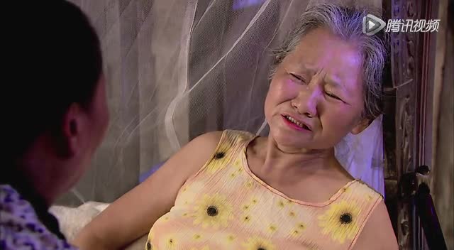 普法栏目剧莲花闹海棠精编版十六预告