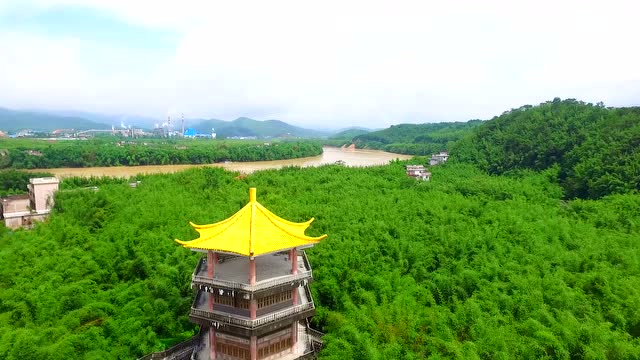 航拍广宁,俯瞰横山罗锅万亩竹海的壮观景色