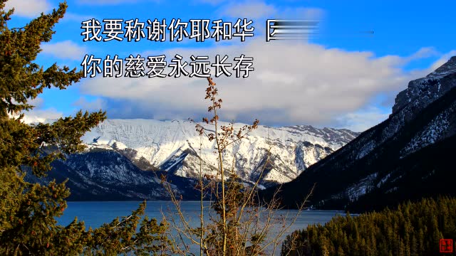 腾讯视频