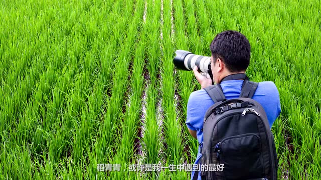 稻青青上市会宣传片