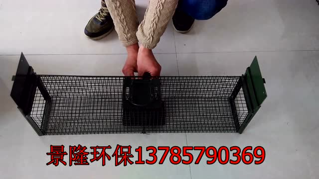 黄鼠狼捕捉笼的使用