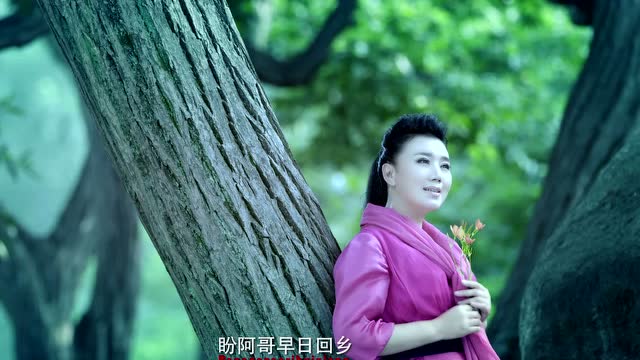 《等到山花烂漫时》共享荣耀