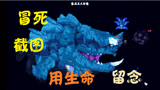 泰拉瑞亚 terraria 汉化版MOD 98 塞壬，利维坦