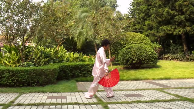 42式华武太极扇 聚兴小花园