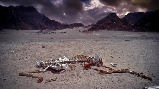 中国最恐怖的"死亡禁地",专家:千万别进去!