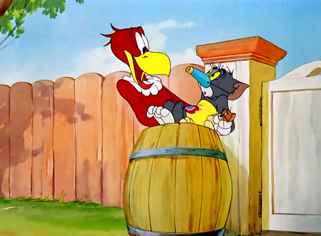 猫和老鼠 第42集 —《汤姆新娘》