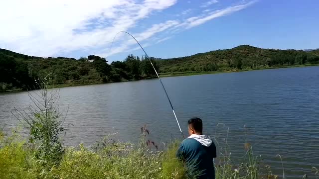 李大本事钓鱼 手杆力博大鲤鱼