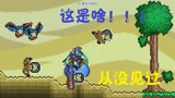 天铭 泰拉瑞亚 仙人掌MOD 16 坎巴拉星人的遗物！terraria