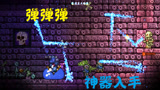 天铭 泰拉瑞亚 仙人掌MOD 20 生或死的考验，地牢探险记！terraria