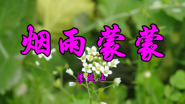 经典老歌,李茂山一首《烟雨蒙蒙》好听醉人